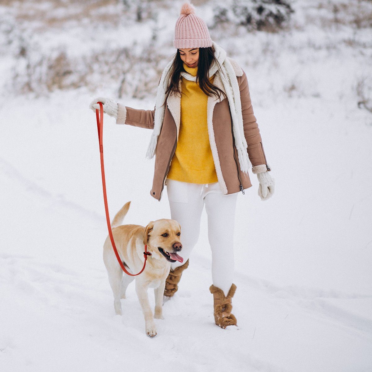 Viper Biothane Long Line 20 ft Lead with Brass Hardware Dog Leashes Dogline