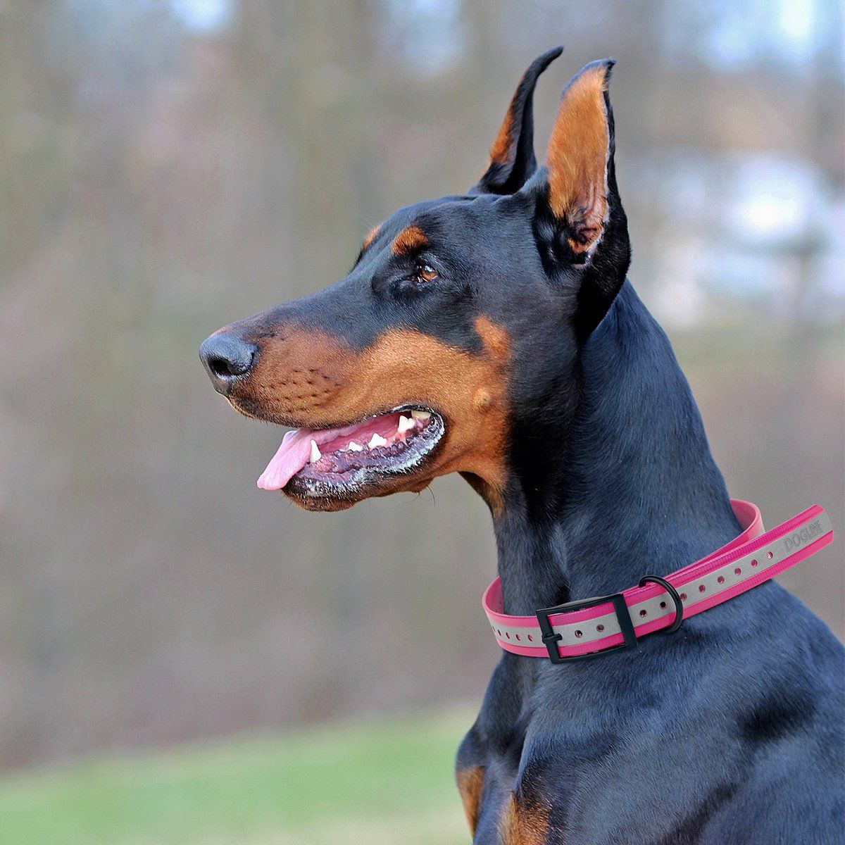 Biothane E-Collar Replacement Reflective Strap Dog Collar Dogline