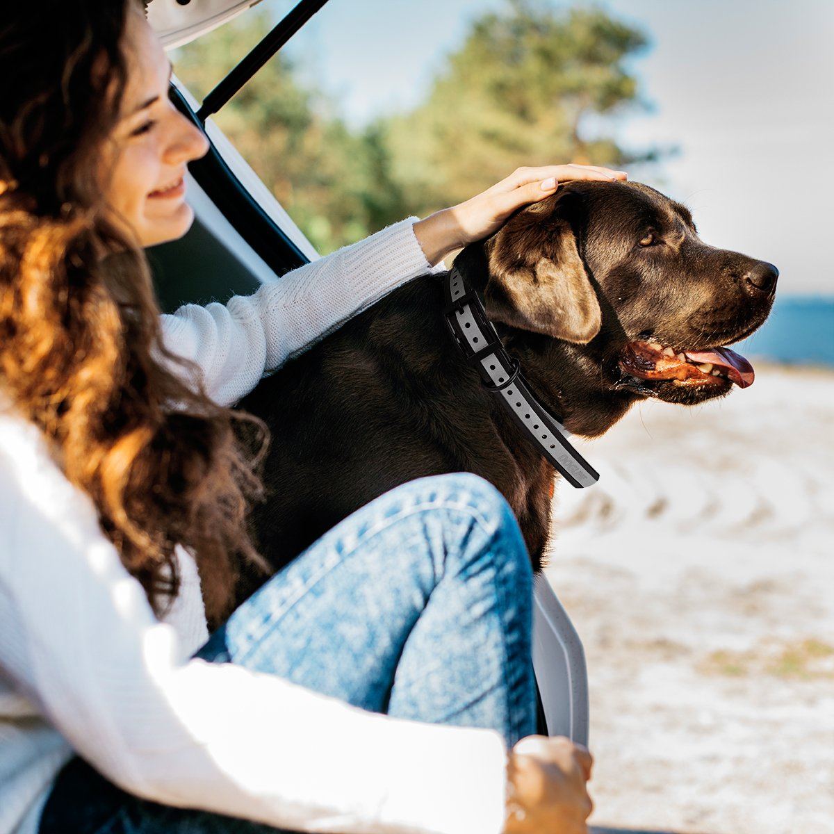 Biothane E-Collar Replacement Reflective Strap Dog Collar Dogline