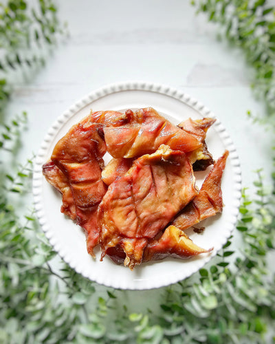 Pig Snout Naked Beasts