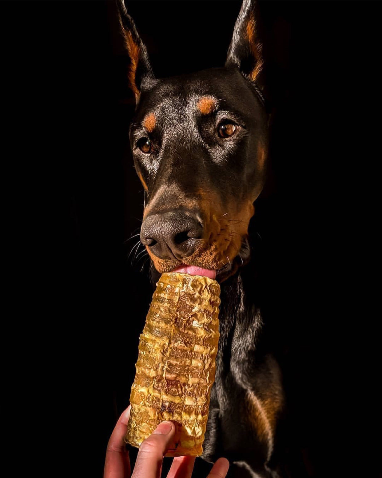 Beef Trachea (Grass Fed & Finished) Naked Beasts