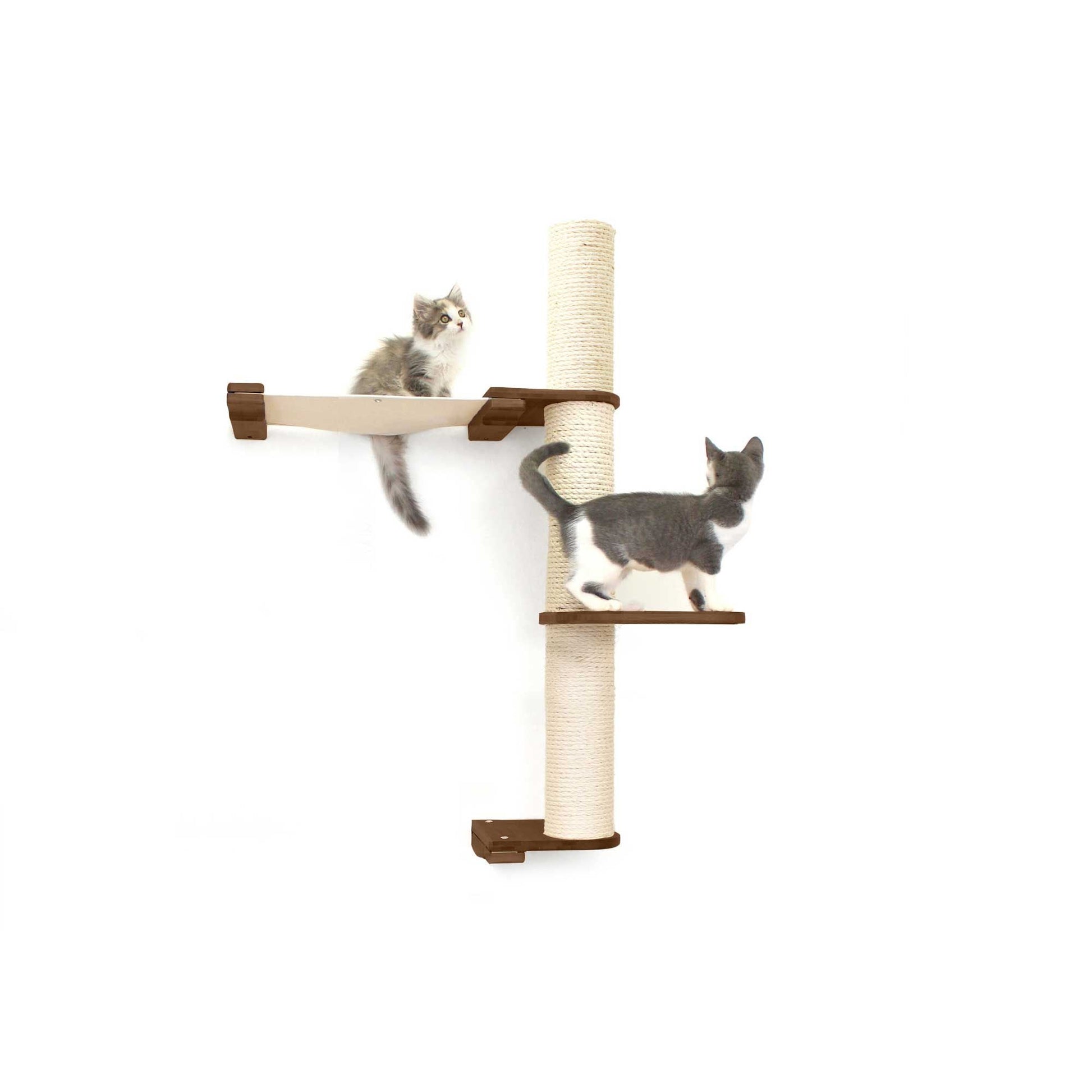 The Crow's Nest - A Wall Cat Scratcher with Hammock Cat Condo Catastrophic Creations