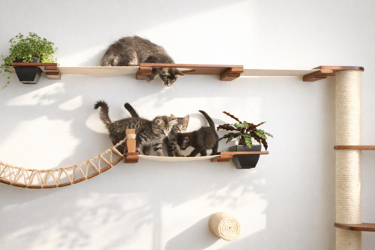 The Juggernaut - Indoor Cat Playground for Wall Cat Condo Catastrophic Creations