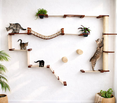 The Juggernaut - Indoor Cat Playground for Wall Cat Condo Catastrophic Creations