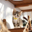 The Juggernaut - Indoor Cat Playground for Wall Cat Condo Catastrophic Creations