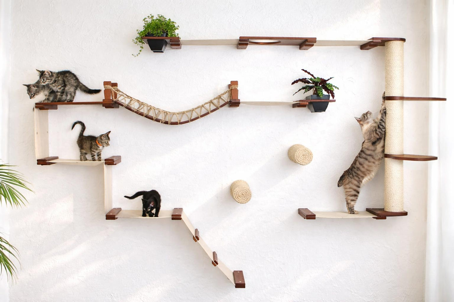The Juggernaut - Indoor Cat Playground for Wall English Chestnut Bamboo Natural Canvas Planter Shelves Leaf Shelf Cat Condo Catastrophic Creations