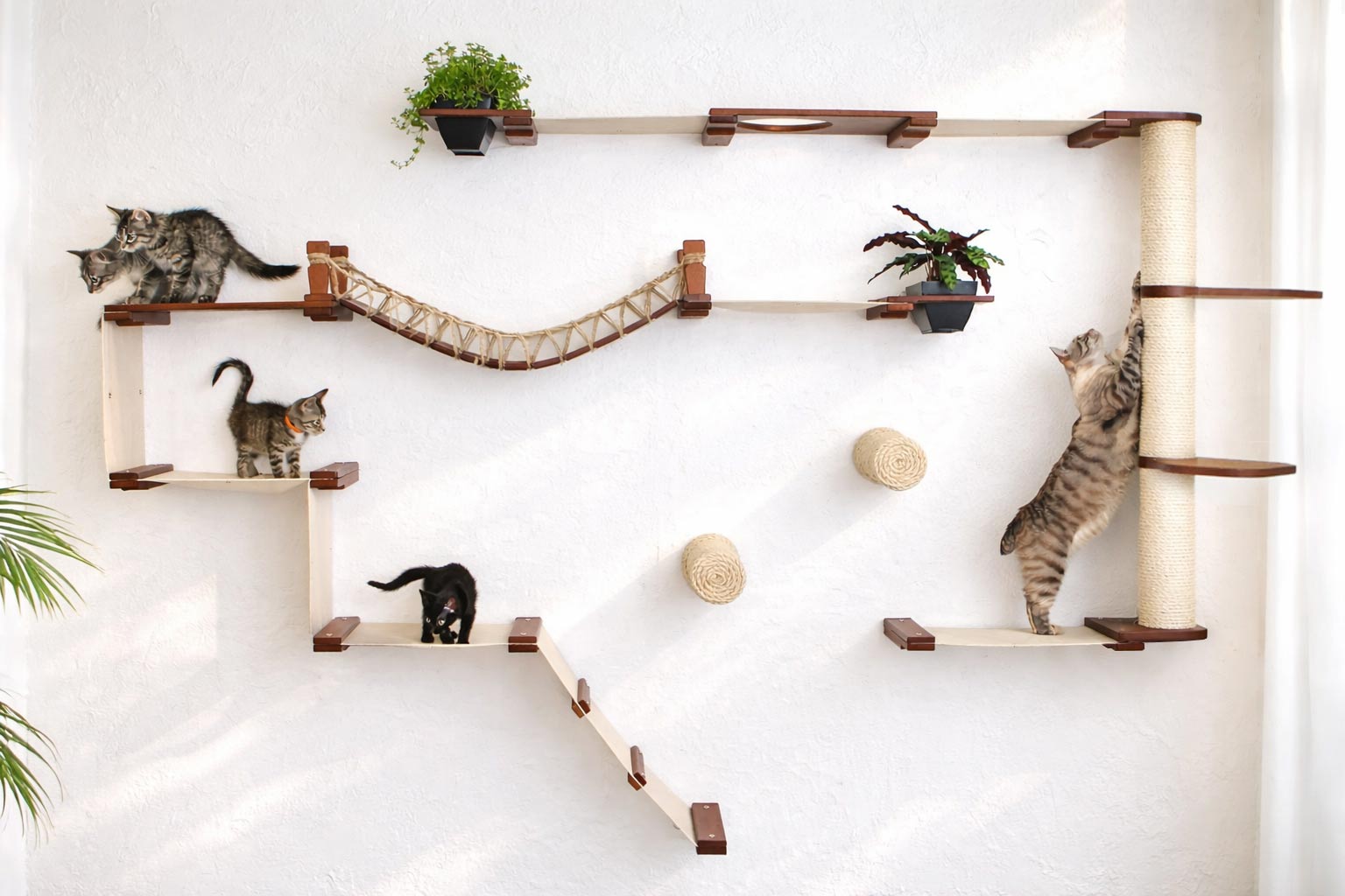 The Juggernaut - Indoor Cat Playground for Wall English Chestnut Bamboo Natural Canvas Planter Shelves Leaf Shelf Cat Condo Catastrophic Creations