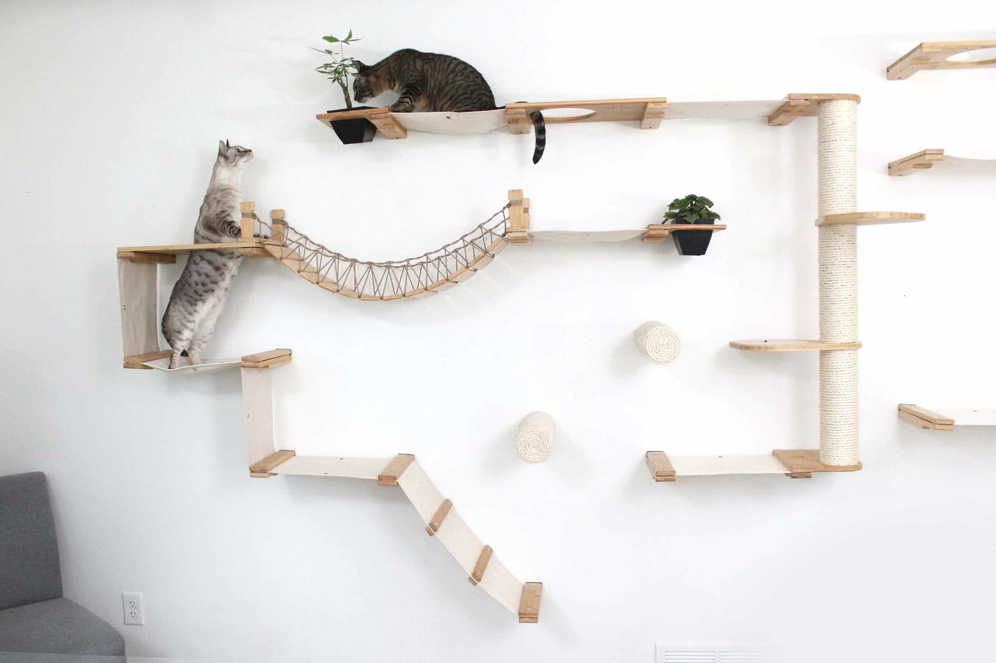 The Juggernaut - Indoor Cat Playground for Wall Natural Bamboo Natural Canvas Planter Shelves Cat Condo Catastrophic Creations