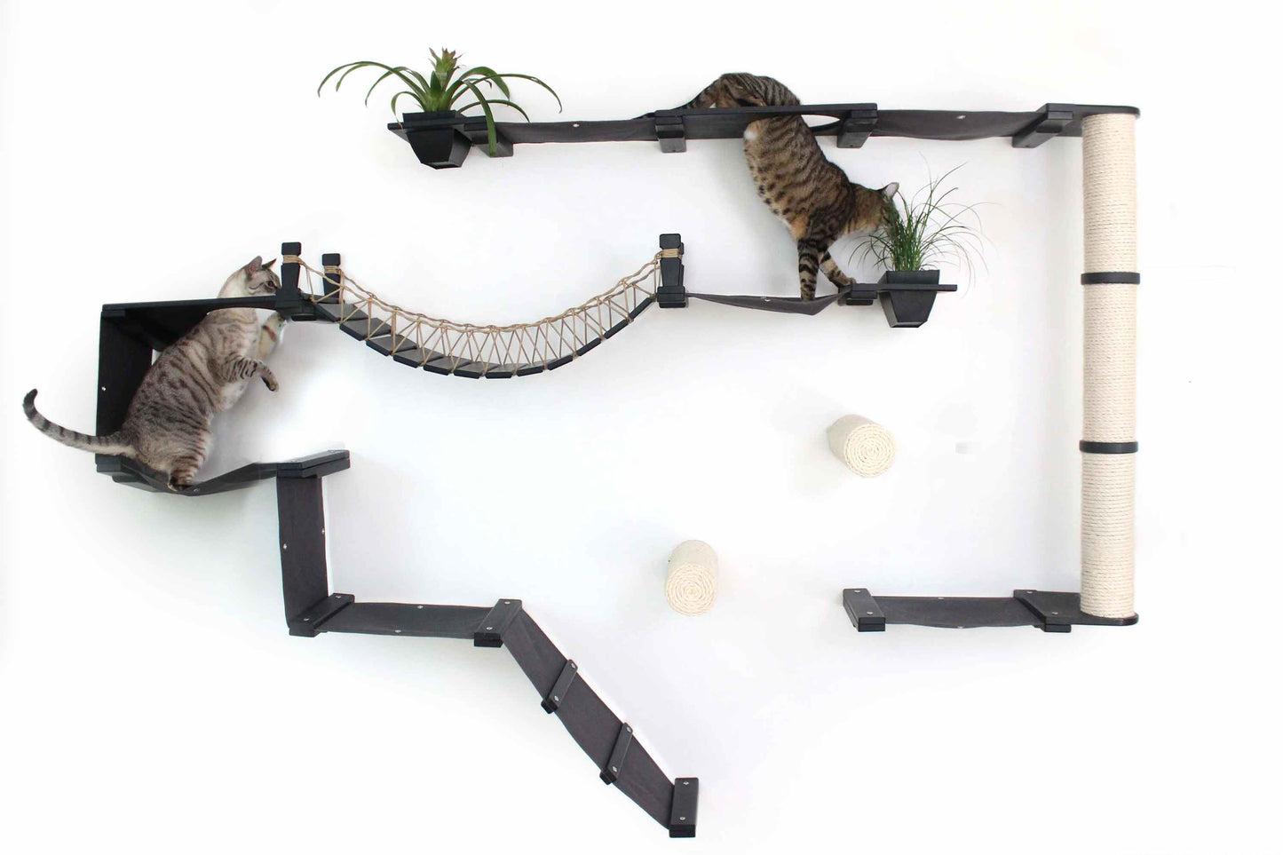 The Juggernaut - Indoor Cat Playground for Wall Cat Condo Catastrophic Creations