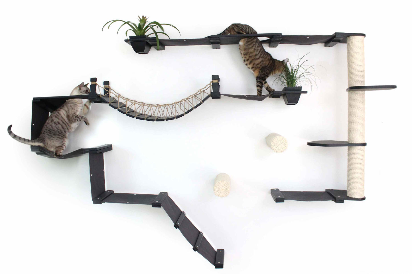 The Juggernaut - Indoor Cat Playground for Wall Onyx Bamboo Charcoal Gray Canvas Planter Shelves Cat Condo Catastrophic Creations