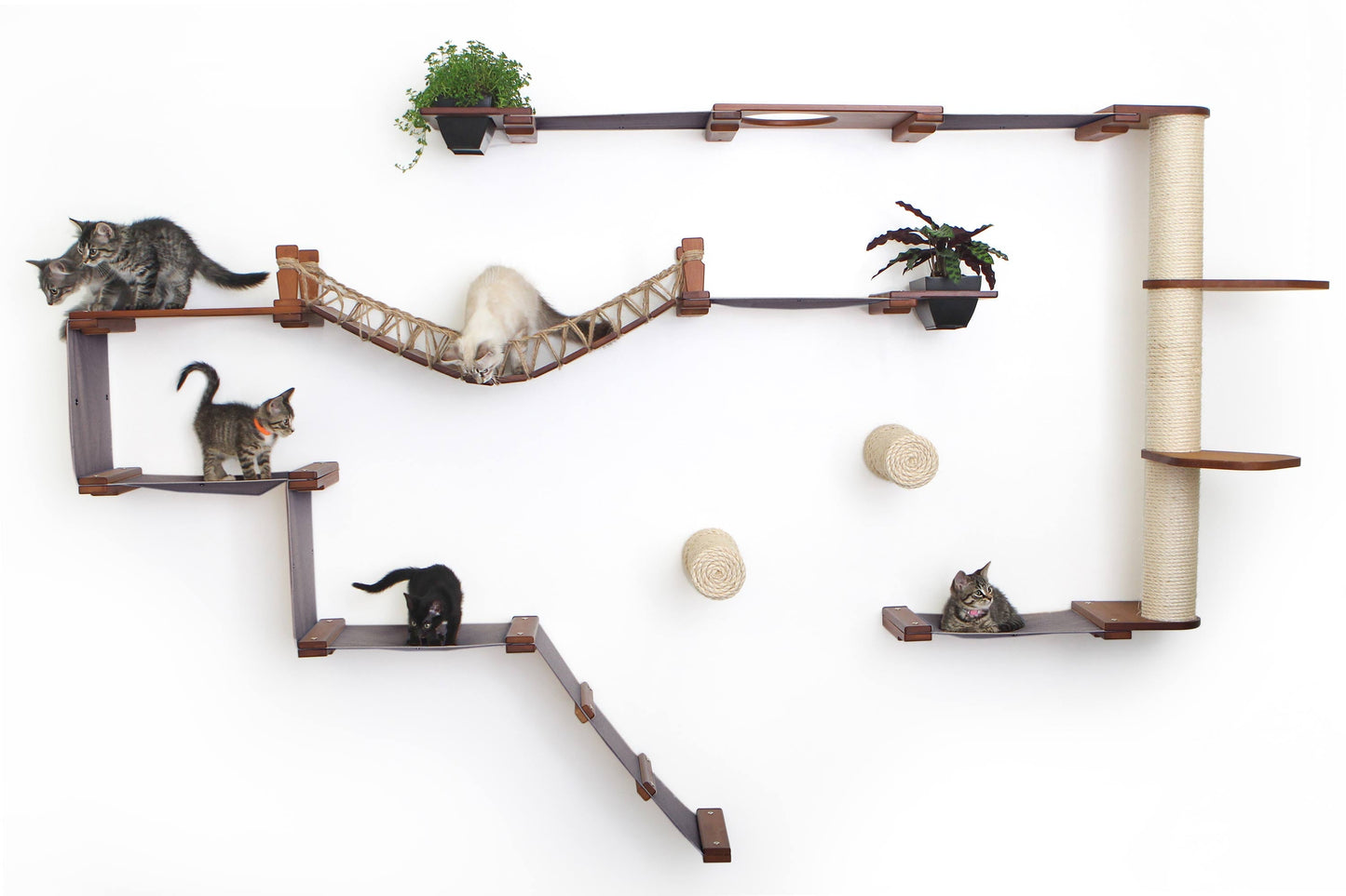 The Juggernaut - Indoor Cat Playground for Wall English Chestnut Bamboo Charcoal Gray Canvas Planter Shelves Leaf Shelf Cat Condo Catastrophic Creations