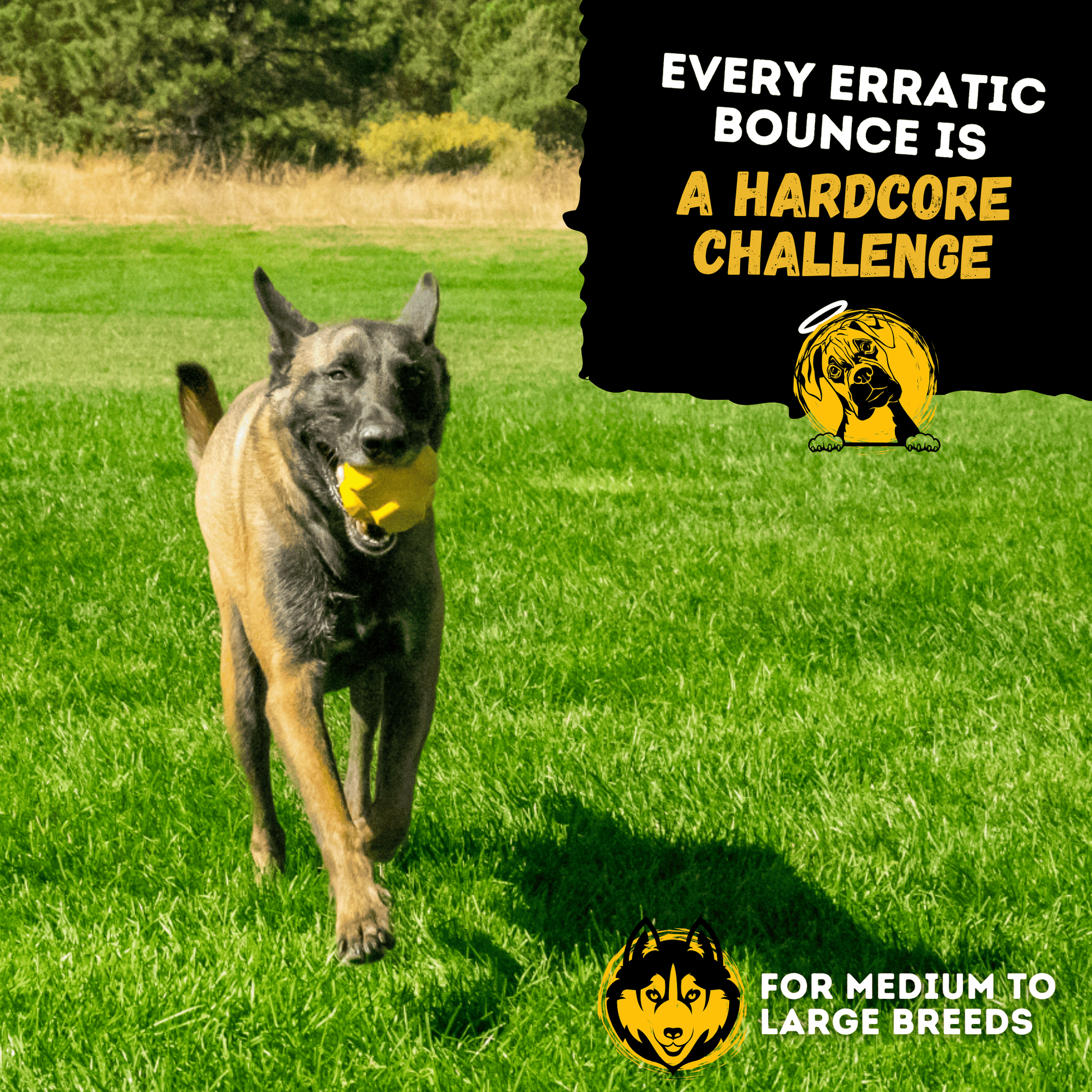 Jumping Jack Monster K9 Dog Toys