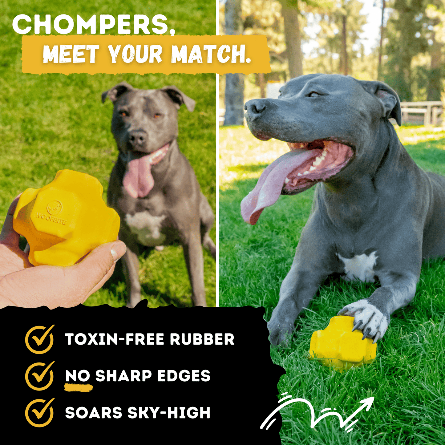 Jumping Jack Monster K9 Dog Toys