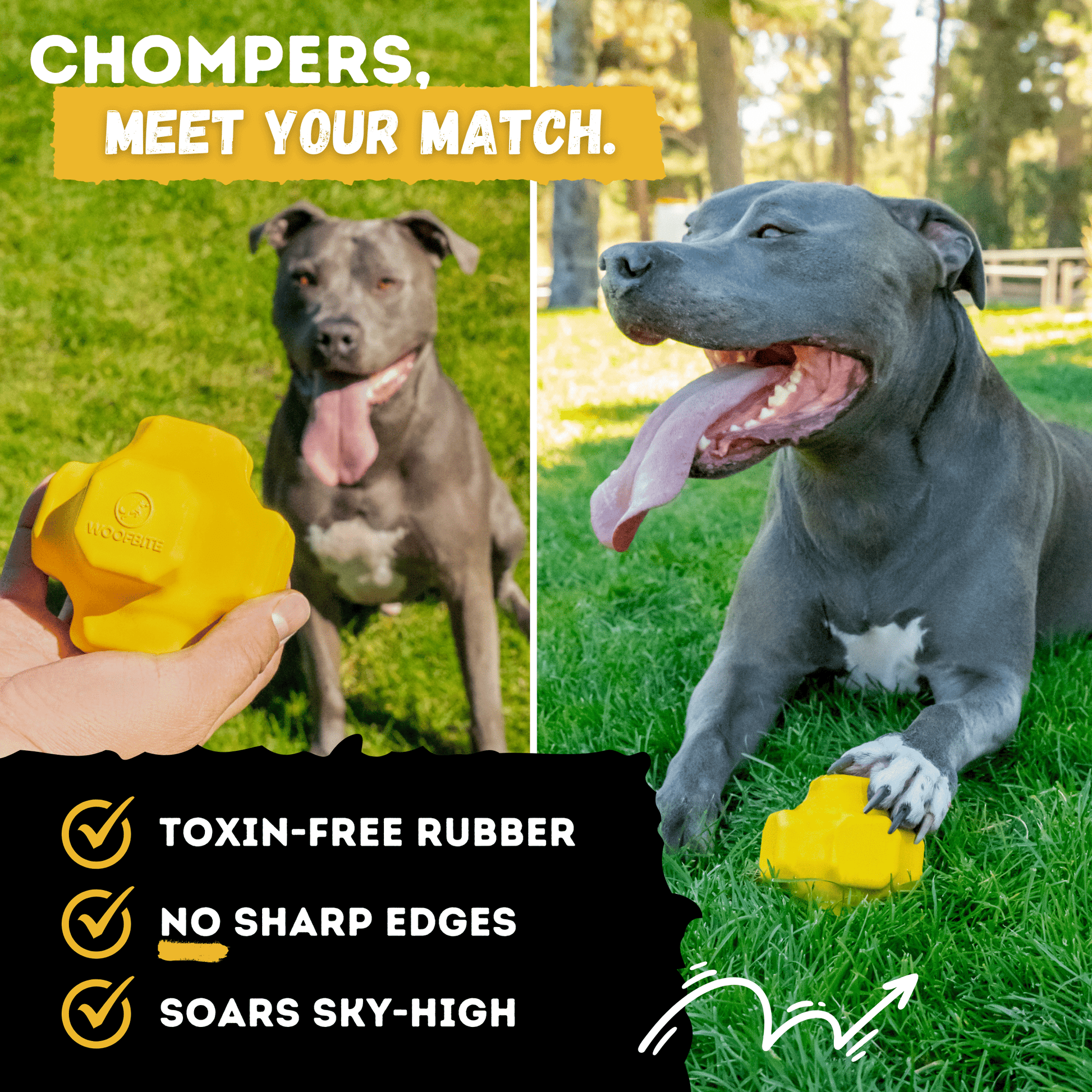 Jumping Jack Monster K9 Dog Toys