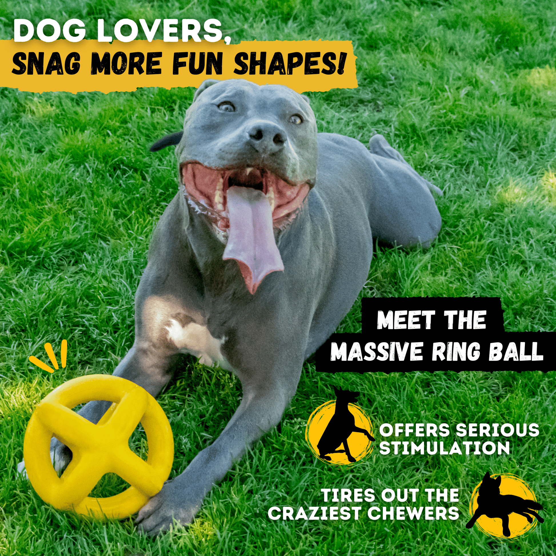 Jumping Jack Monster K9 Dog Toys