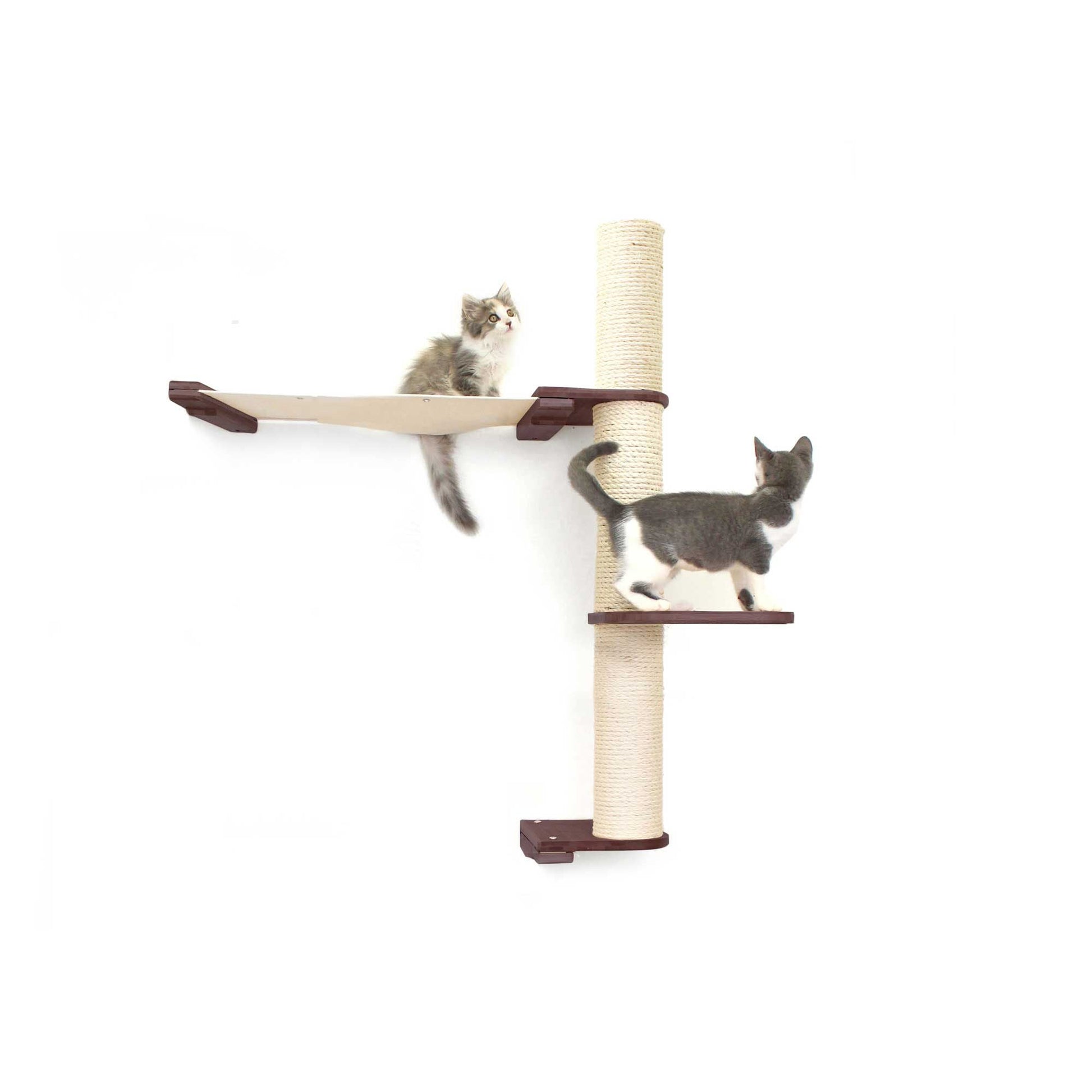 The Crow's Nest - A Wall Cat Scratcher with Hammock English Chestnut Bamboo Natural Canvas 2-Tier 24" Cat Condo Catastrophic Creations