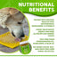 Dogtastic Gourmet Peanut Butter for Dogs - Pumpkin & Flax Seed Flavor - 50% off TREATS SodaPup/True Dogs, LLC