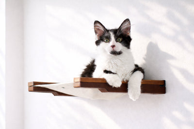 Hanging Cat Bed Hammock English Chestnut Bamboo Natural Canvas 18" Cat Hammock Catastrophic Creations