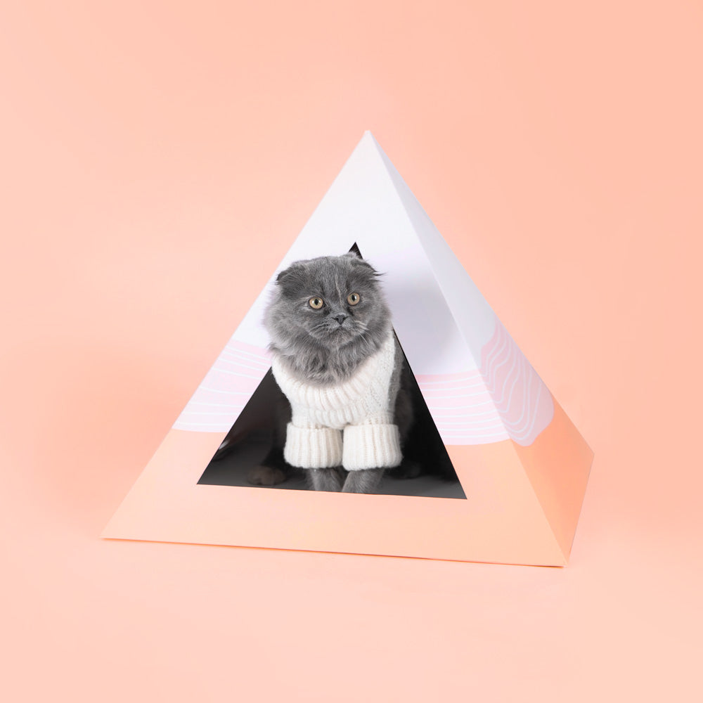 'Wavey' Cardboard Cat Pyramid KittyKardboard