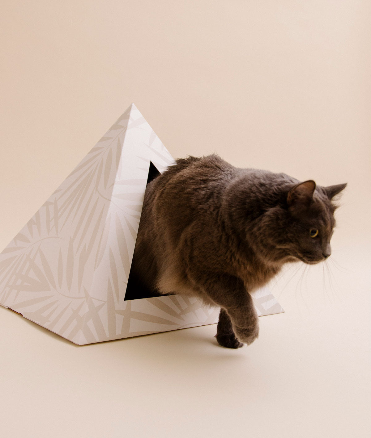 'Neutral Palm' Cardboard Cat Pyramid KittyKardboard