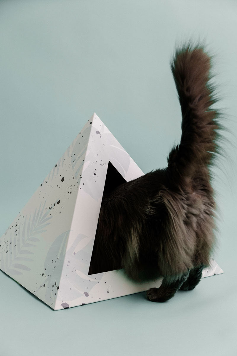 'Oasis' Cardboard Cat Pyramid KittyKardboard