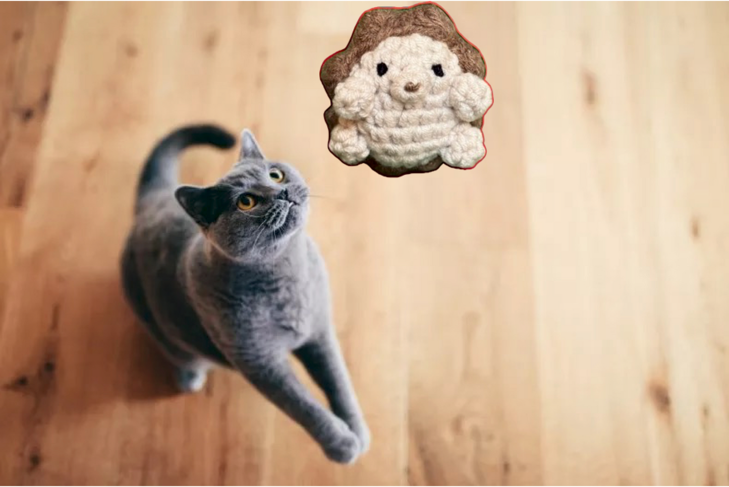 Harold the hedgehog | lightweight cat toy Chunkles