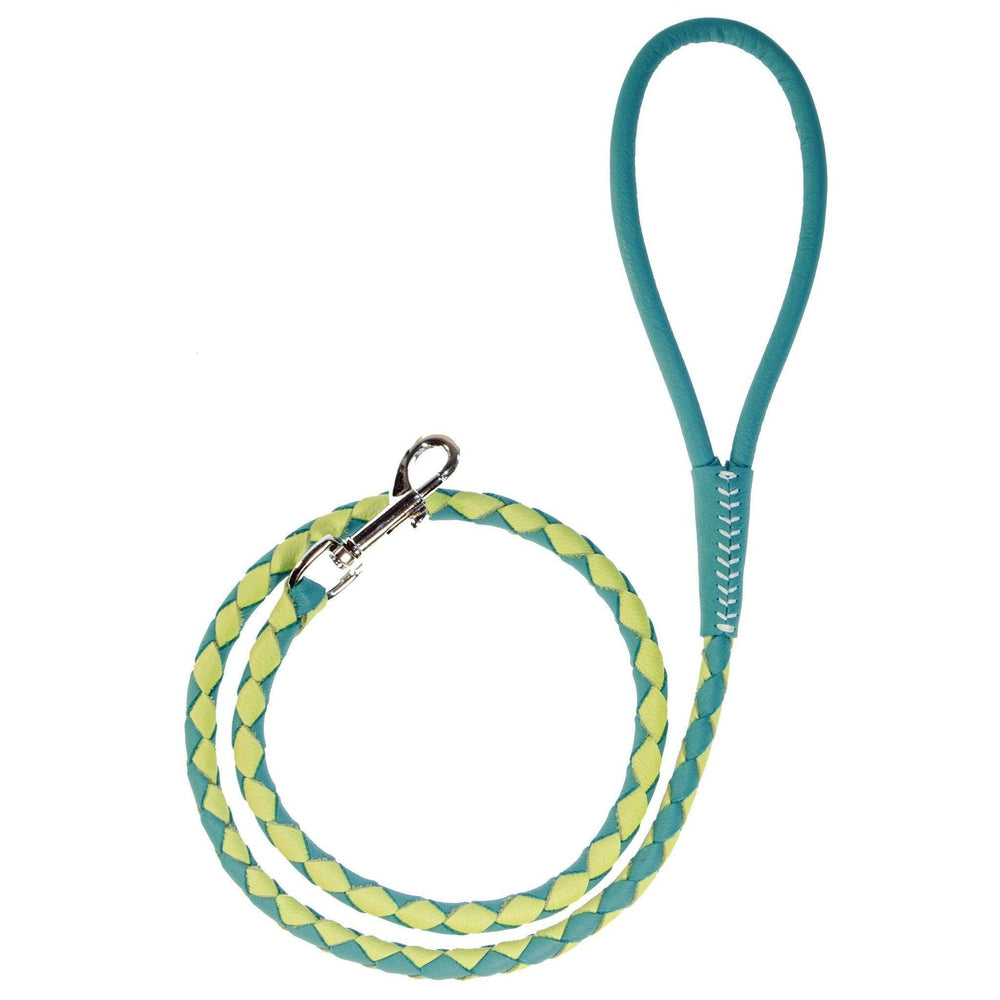 Soft Leather Dual-Color Braided Round Lead Teal Lime Green Dog Leashes Dogline