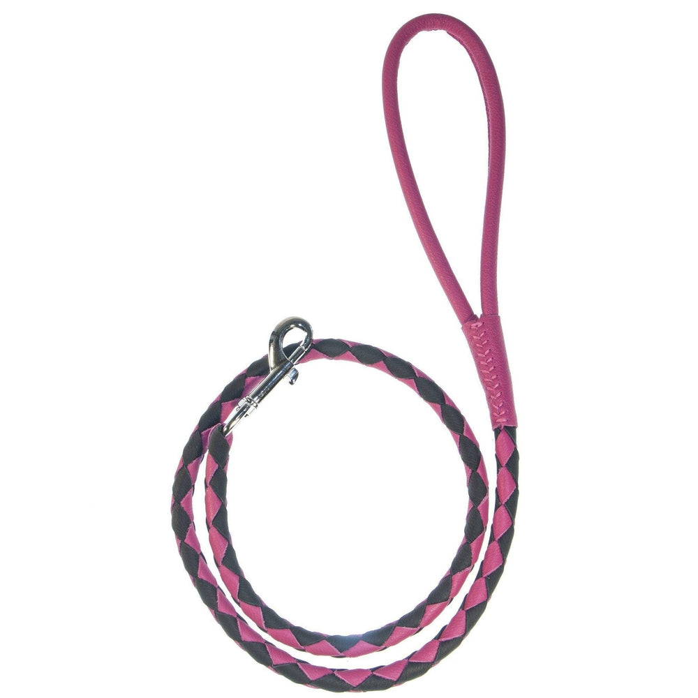 Soft Leather Dual-Color Braided Round Lead Purple Pink 1 4" Dog Leashes Dogline