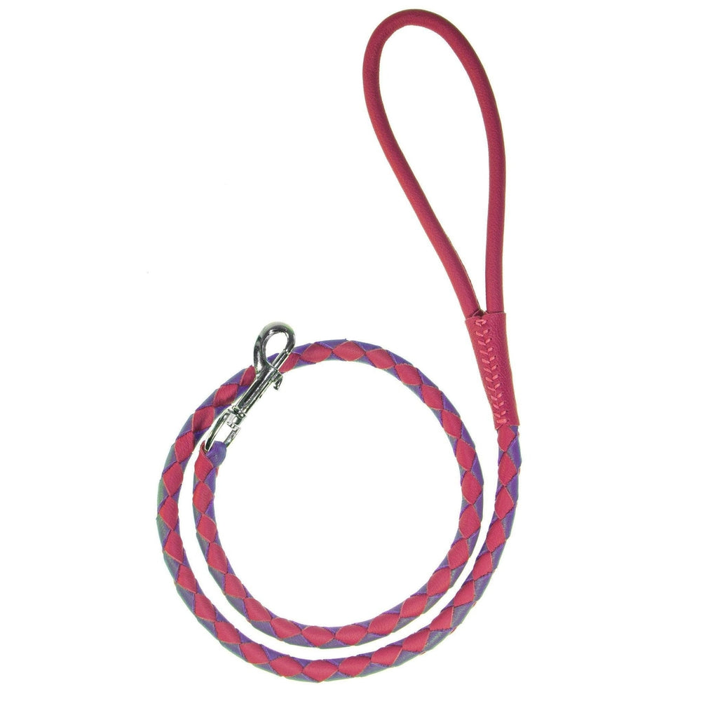 Soft Leather Dual-Color Braided Round Lead Purple Pink 3 8" Dog Leashes Dogline