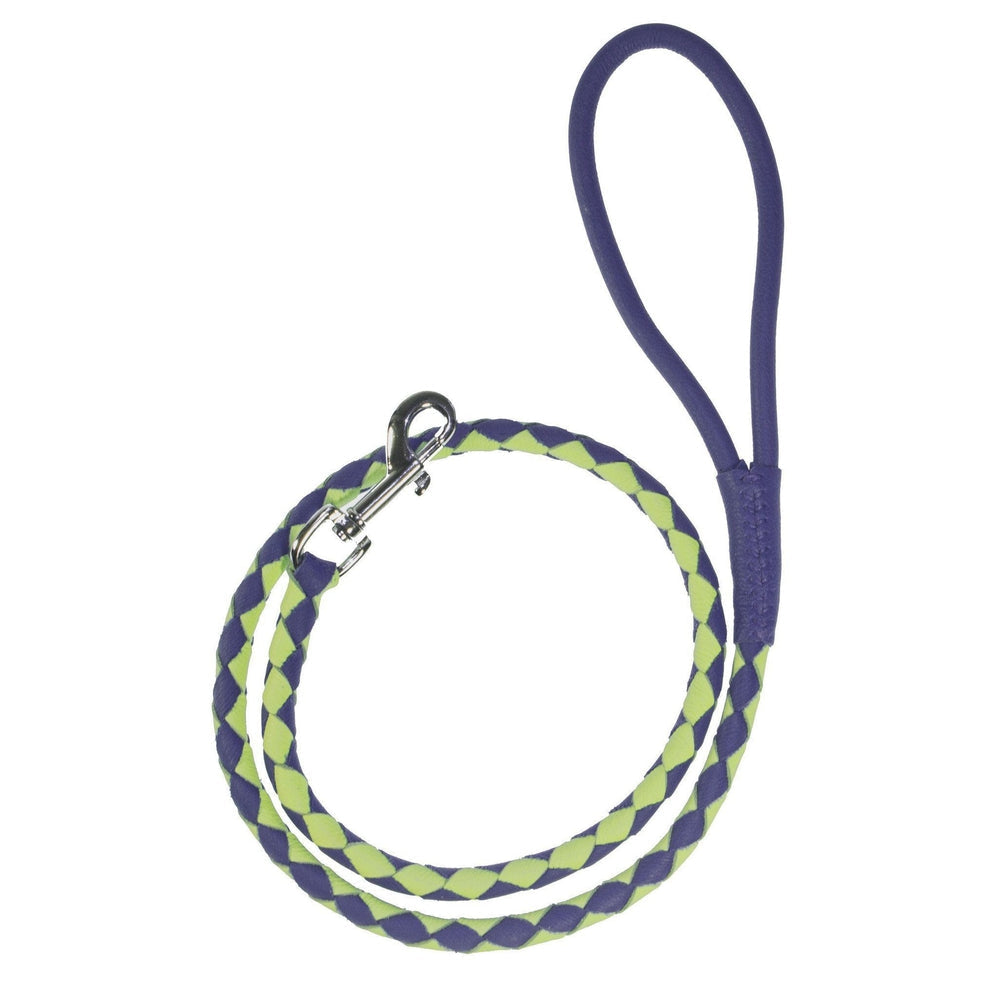 Soft Leather Dual-Color Braided Round Lead Purple Green Dog Leashes Dogline