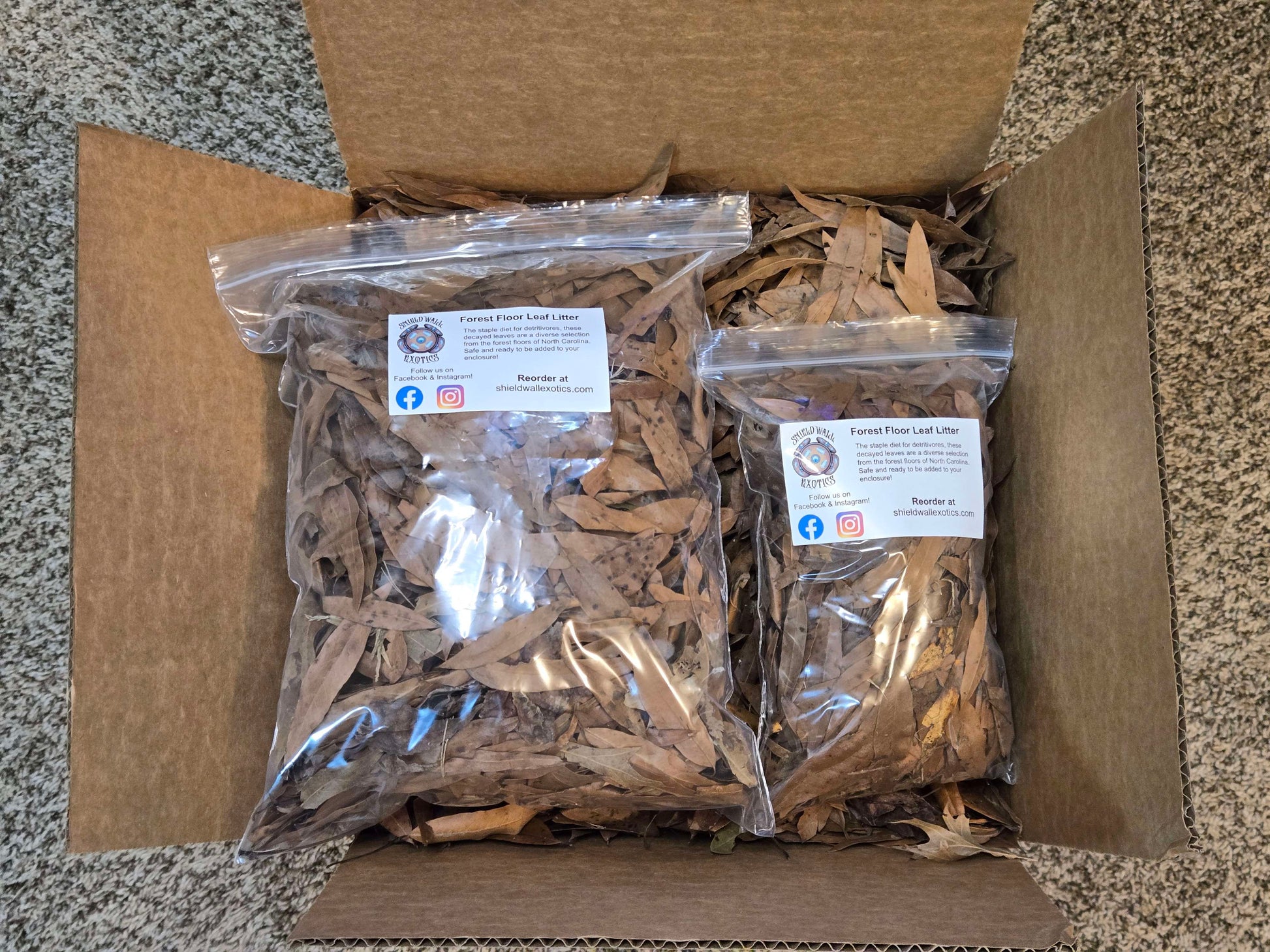 Forest Floor Leaf Litter (3 Sizes!) leaf litter Shield Wall Exotics