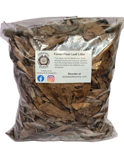 Forest Floor Leaf Litter (3 Sizes!) leaf litter Shield Wall Exotics