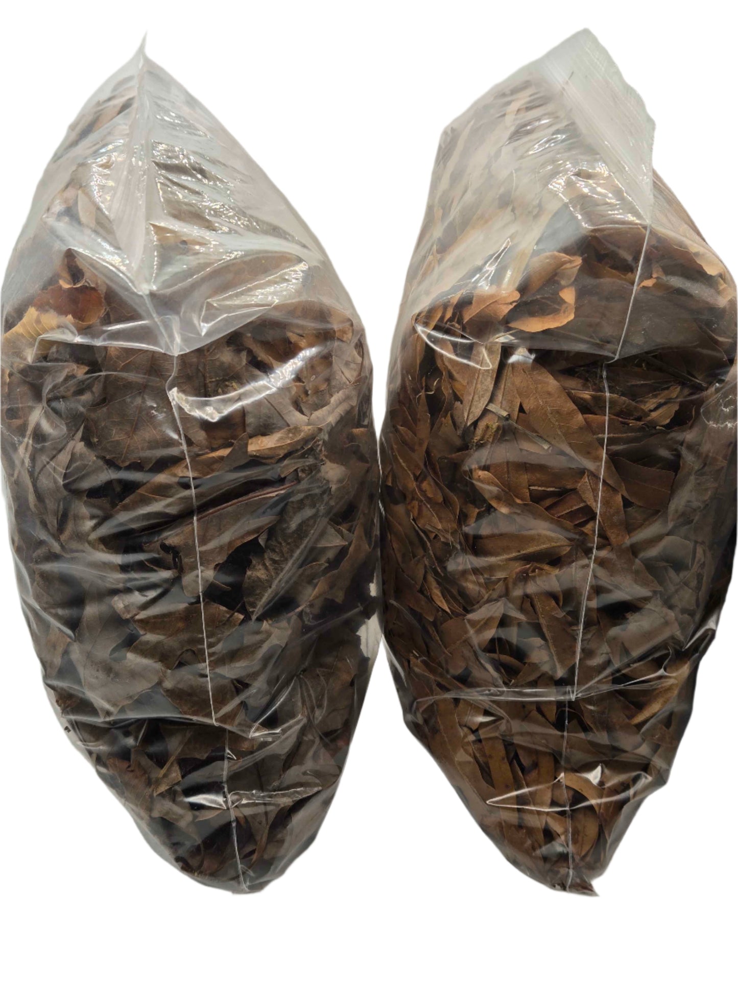 Forest Floor Leaf Litter (3 Sizes!) leaf litter Shield Wall Exotics