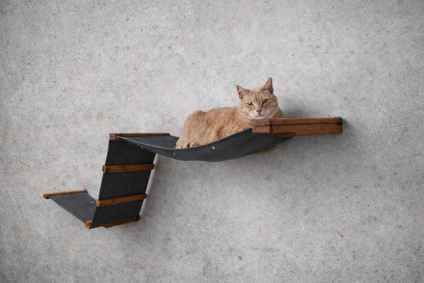The Raceway - Wall Mounted Cat Hammock English Chestnut Bamboo Charcoal Gray Canvas Cat Hammock Catastrophic Creations
