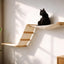 The Raceway - Wall Mounted Cat Hammock Cat Hammock Catastrophic Creations