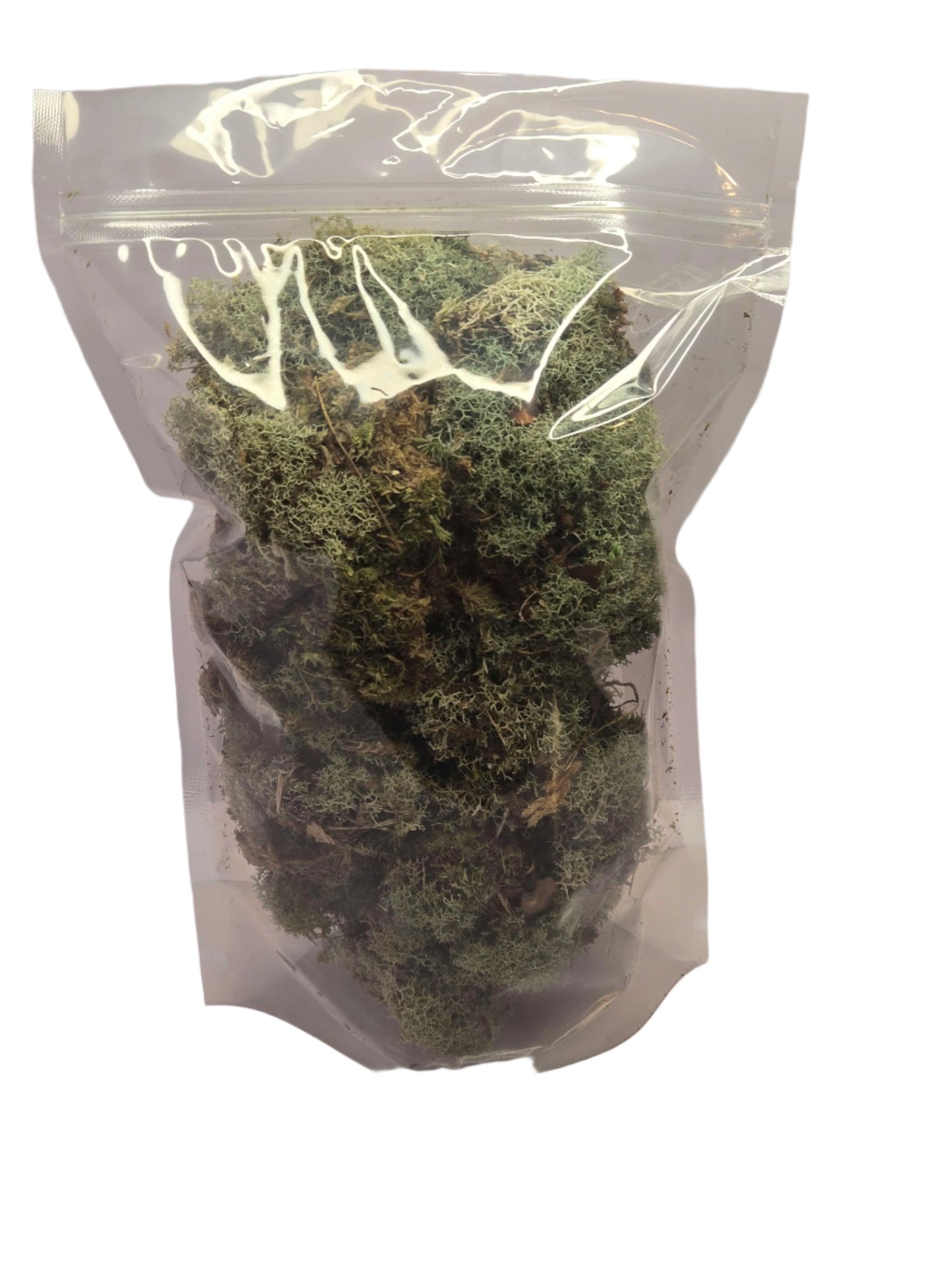 Lichen Covered Moss Moss Shield Wall Exotics