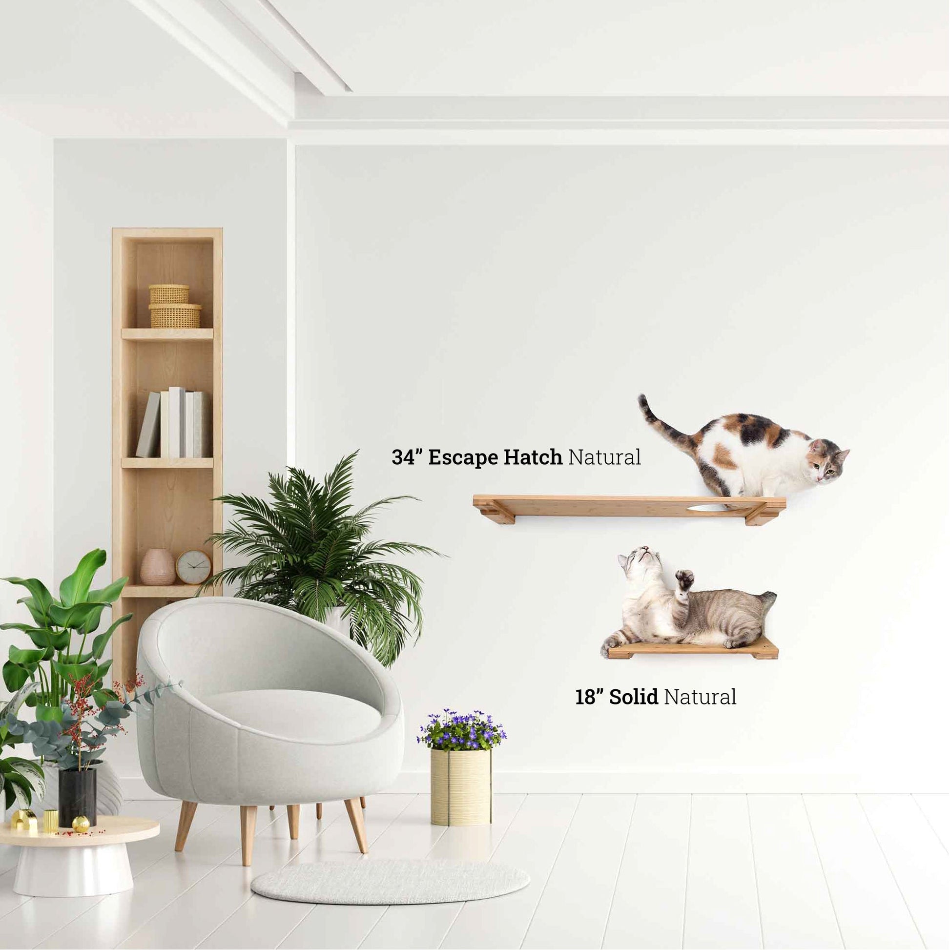 Wall Mounted Cat Shelf Cat shelves/bed Catastrophic Creations