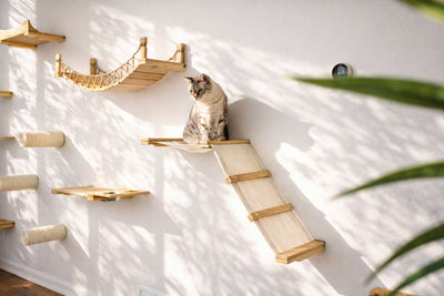 The Lift- Cat Hammock Bed Natural Bamboo Natural Canvas Cat Hammock Catastrophic Creations
