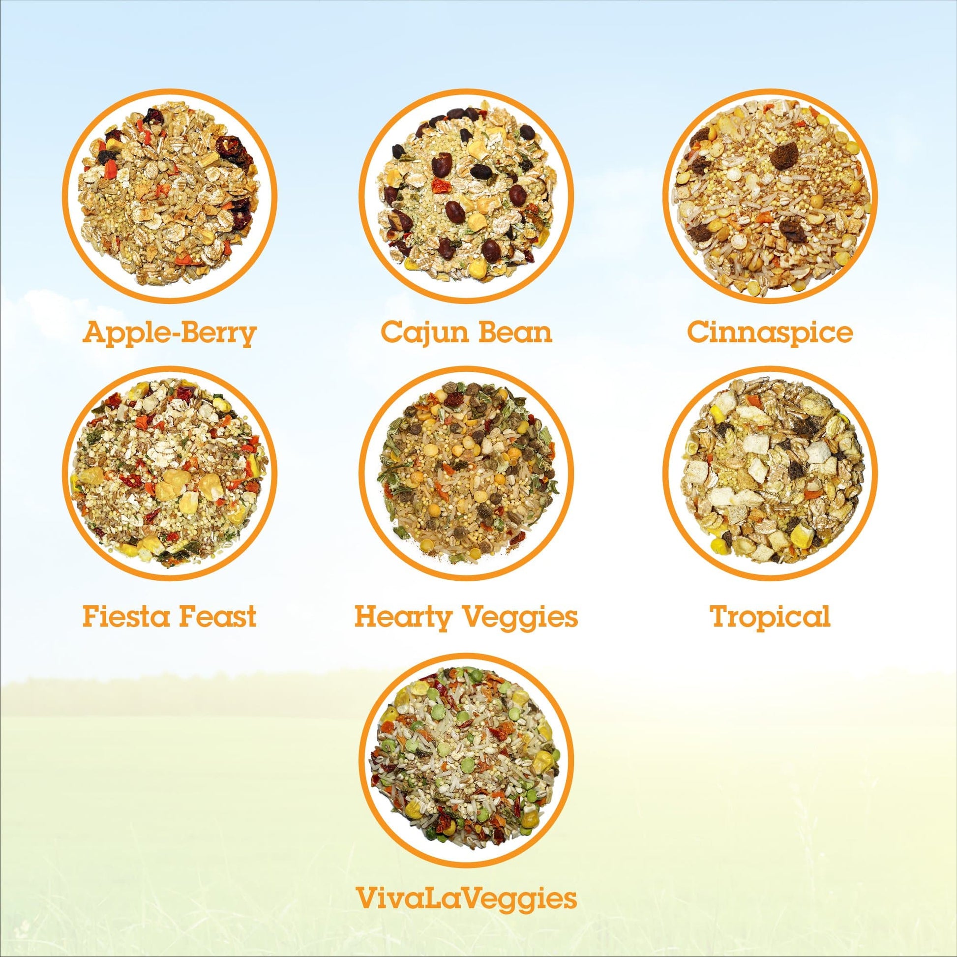 Parrot Food Variety Pack Parrot Food Bird Street Bistro