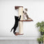 Wall Mounted Cat Climbing Pole - Sisal Cat Scratcher Catastrophic Creations