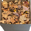 Forest Floor Leaf Litter (3 Sizes!) leaf litter Shield Wall Exotics