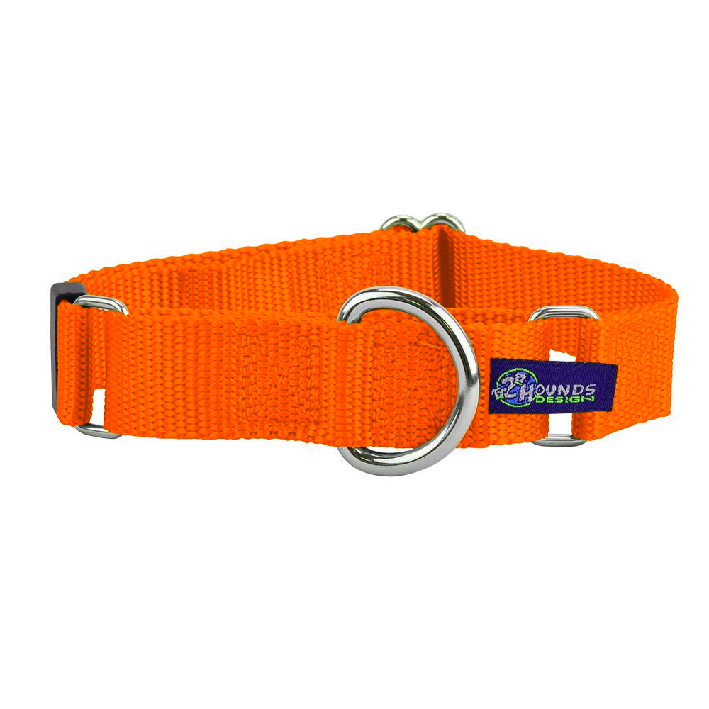 5/8″ and 1″ Neon Orange Nylon Martingale Dog Collar Martingale Dog Collar 2 Hounds Design