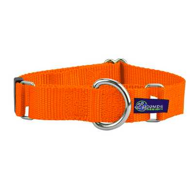 5/8″ and 1″ Neon Orange Nylon Martingale Dog Collar Martingale Dog Collar 2 Hounds Design