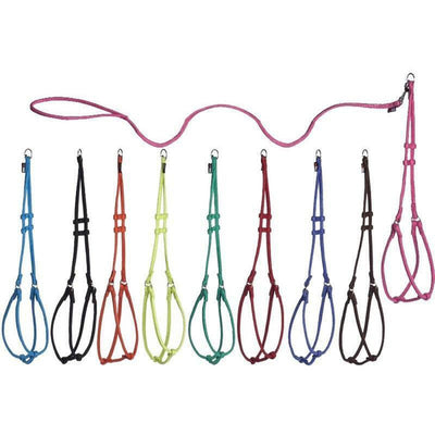 Comfort Microfiber Round Step-In Dog Harness + Dog Lead Dog Harnesses Dogline