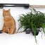 The Gardens - Modern Cat Tree with Plants Cat Condo Catastrophic Creations