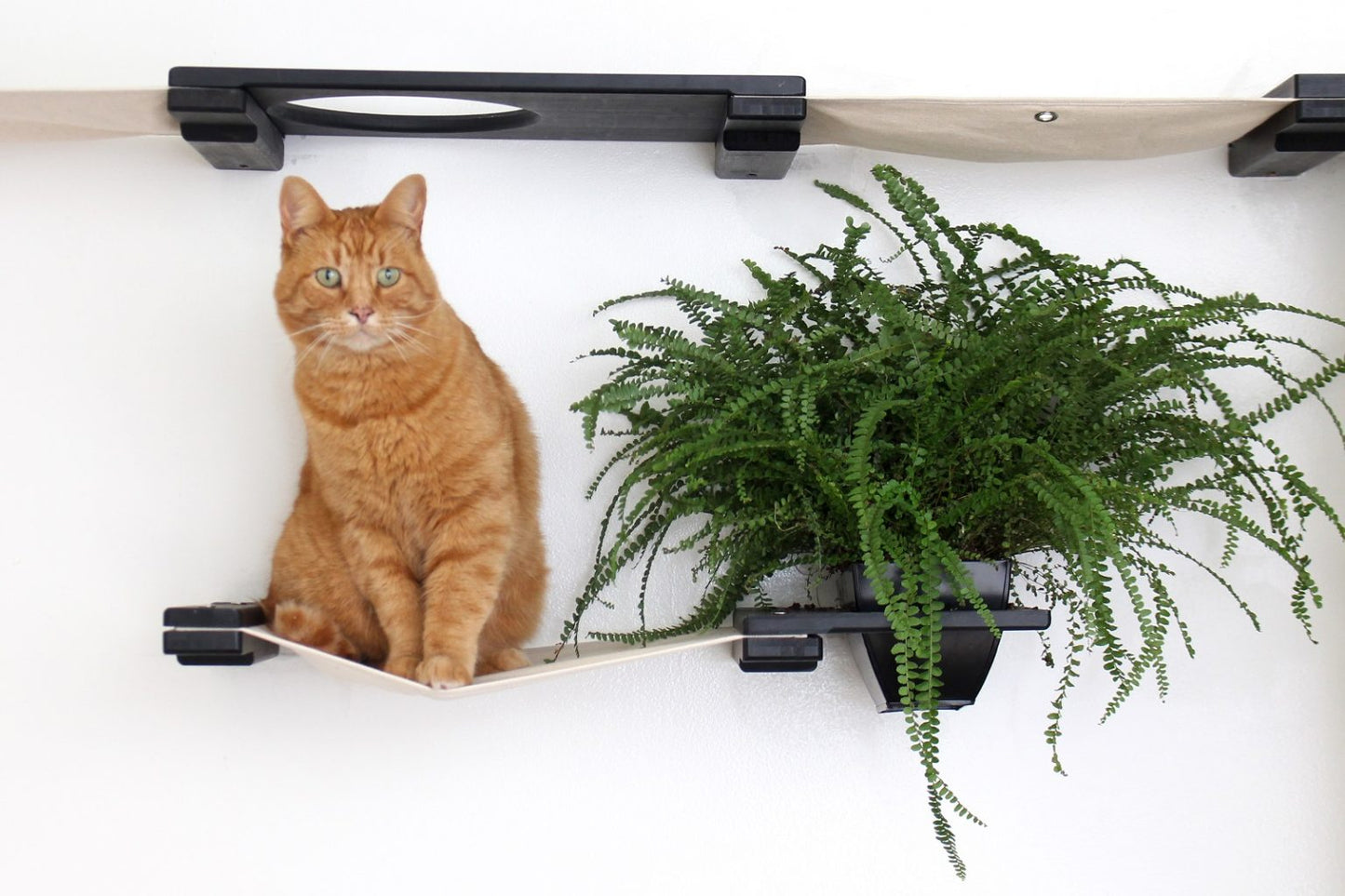 The Gardens - Modern Cat Tree with Plants Cat Condo Catastrophic Creations