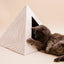 'Neutral Palm' Cardboard Cat Pyramid KittyKardboard