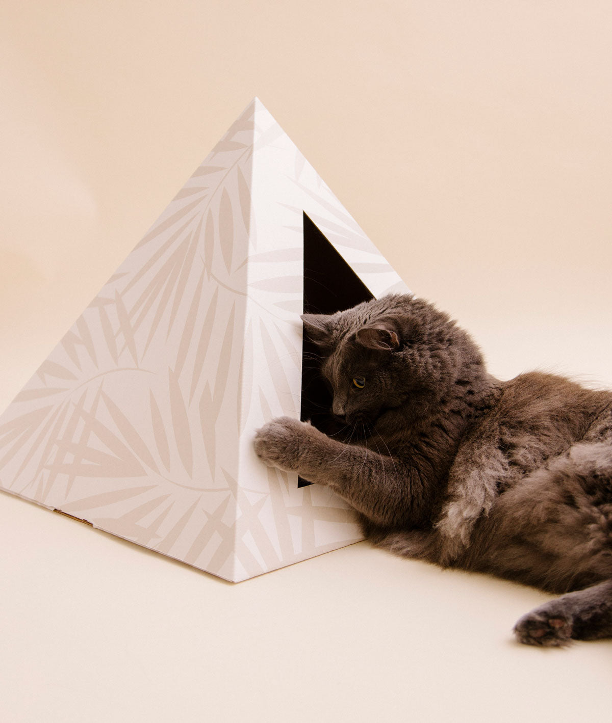 'Neutral Palm' Cardboard Cat Pyramid KittyKardboard