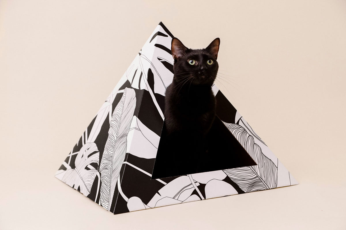 'Dark Paradise' Cardboard Cat Pyramid KittyKardboard