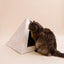 'Neutral Palm' Cardboard Cat Pyramid KittyKardboard